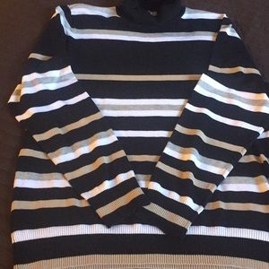 Multi colored stripped turtle neck! Comfy!